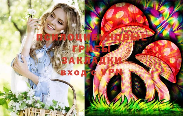 ешки Аркадак