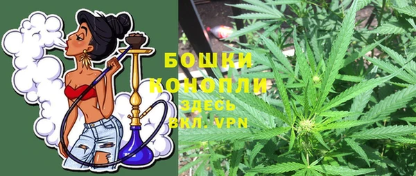 ешки Аркадак