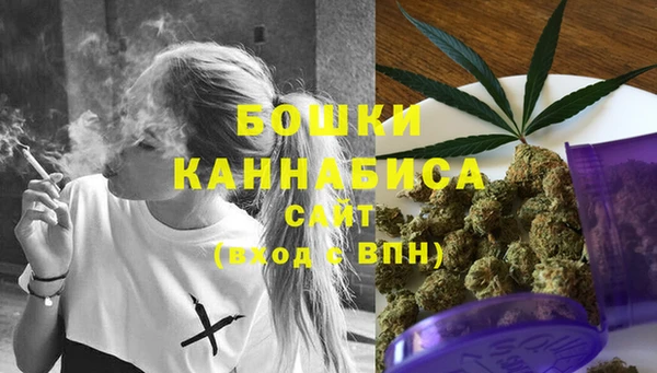 ешки Аркадак