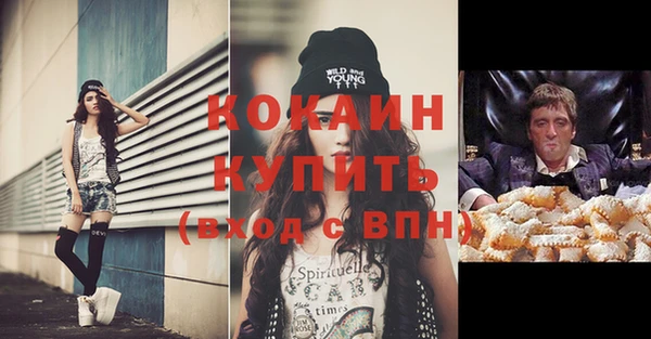 ешки Аркадак