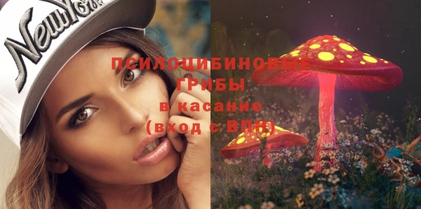 мяу мяу мука Армянск